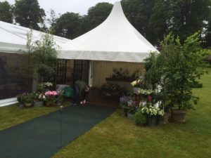 Kadidja Sissoko Pagodas Kadidja Sissoko Pagodas